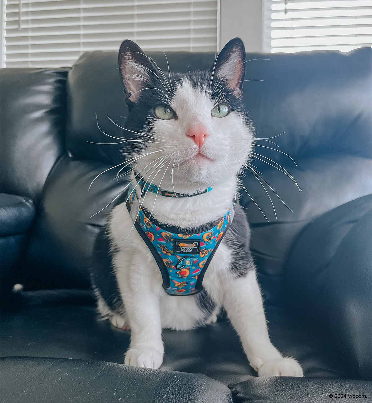Thumbnail 7