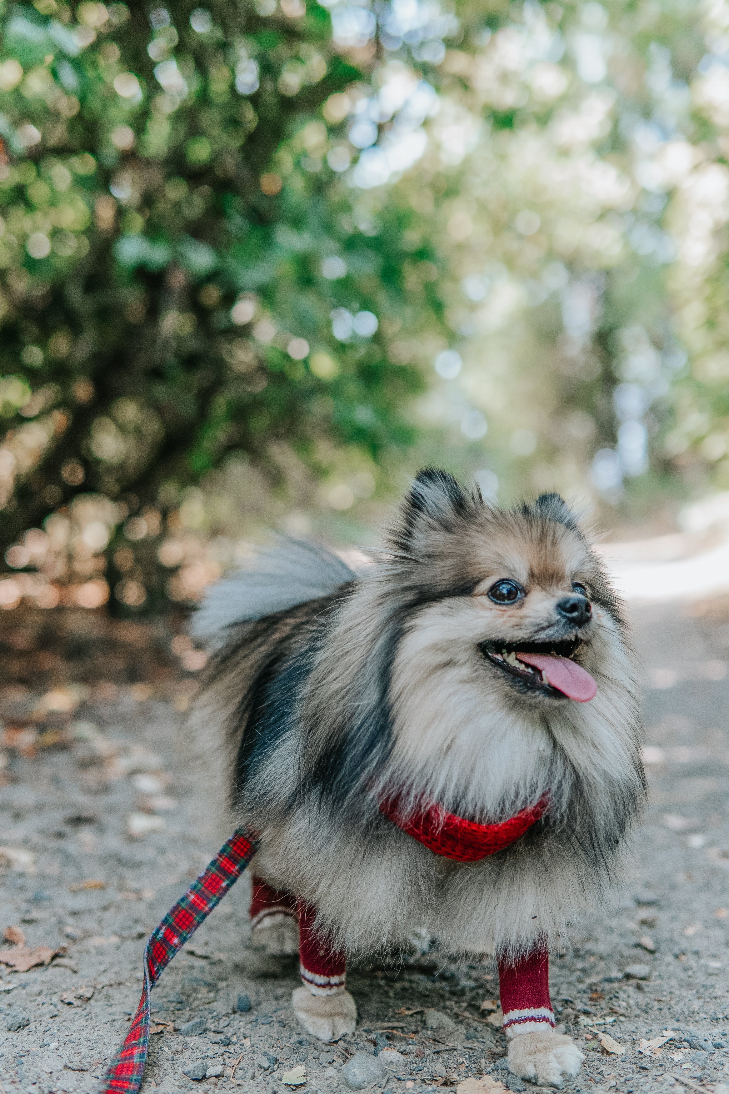 Thumbnail 8