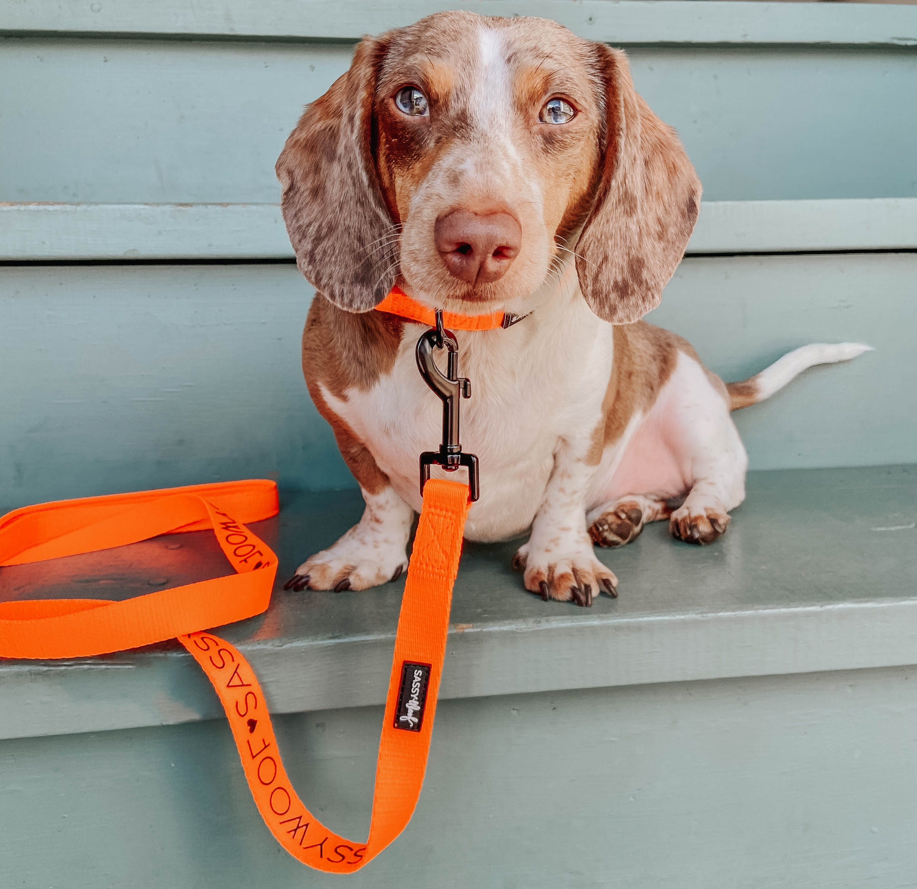 Thumbnail 10
