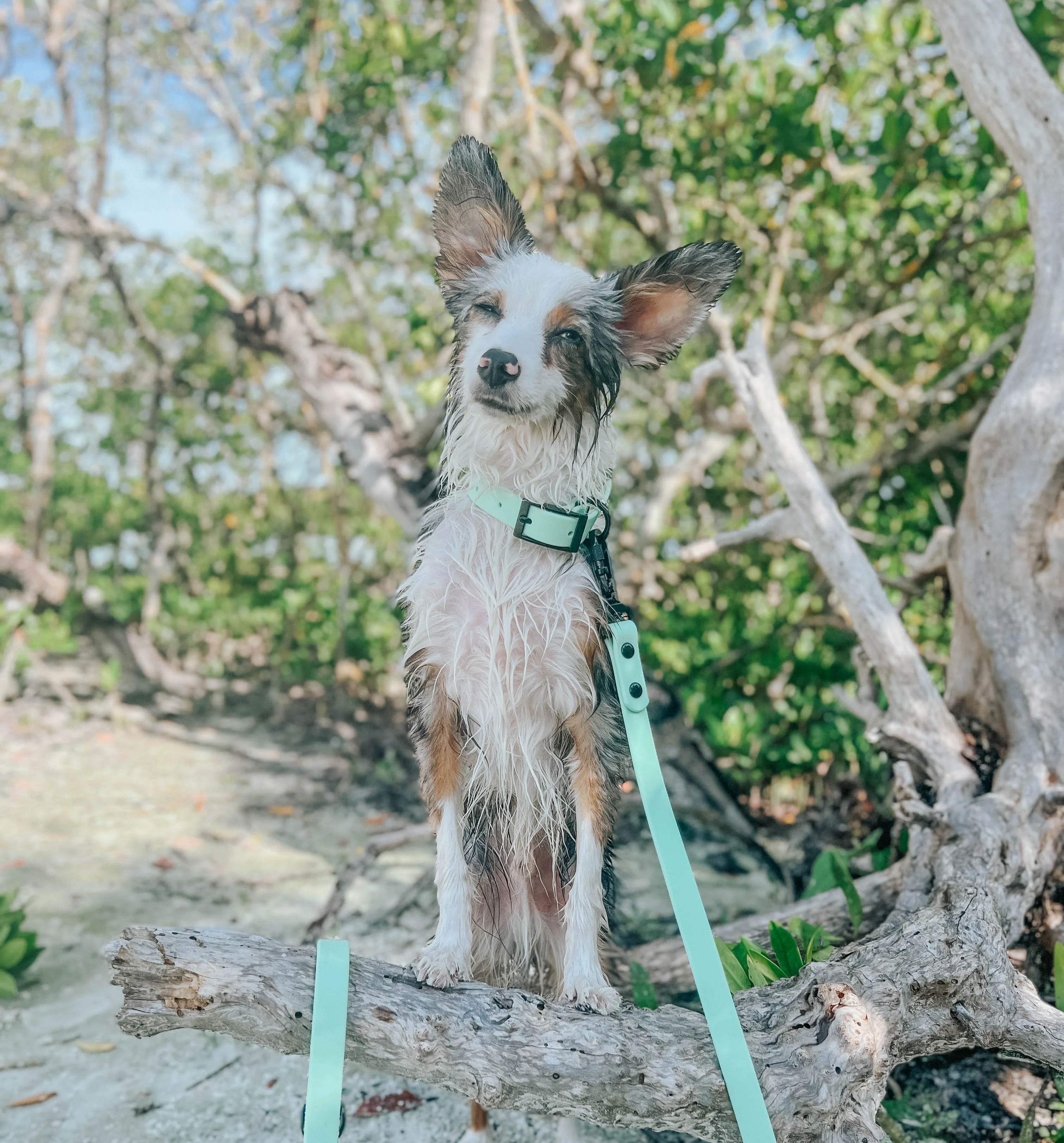 Thumbnail 8